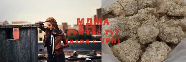 шишки Белокуриха