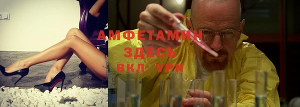 шишки Белокуриха