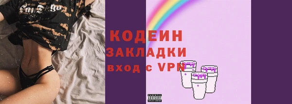 шишки Белокуриха