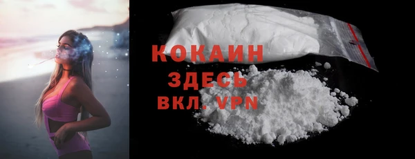 шишки Белокуриха