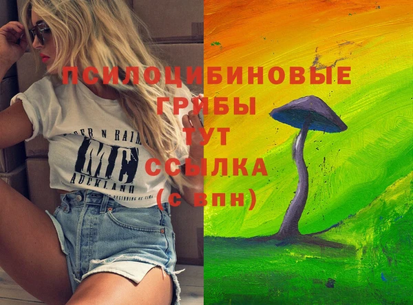 шишки Белокуриха