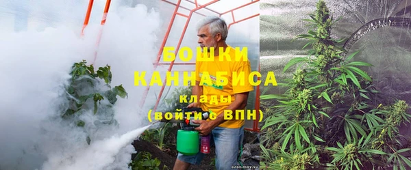шишки Белокуриха