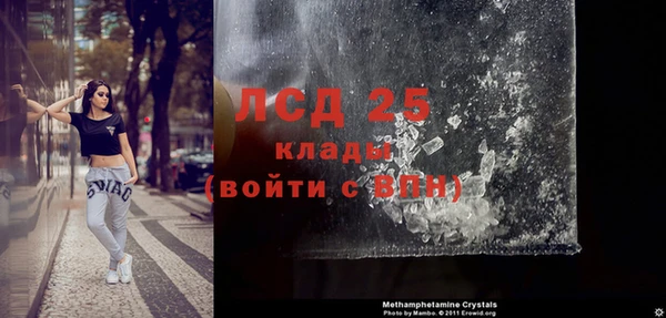шишки Белокуриха
