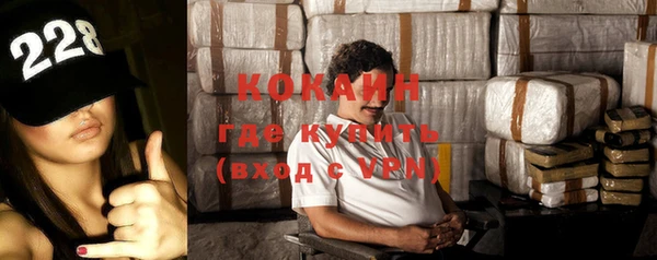 шишки Белокуриха