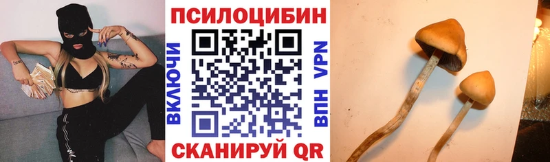 где купить наркотик  Бобров  Псилоцибиновые грибы мухоморы 